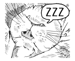 Morphing cat sticker #13866595