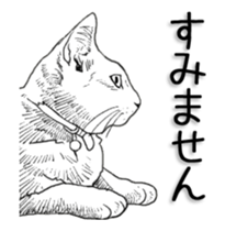 Morphing cat sticker #13866596