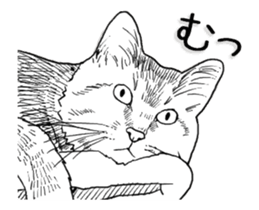 Morphing cat sticker #13866599