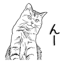 Morphing cat sticker #13866602