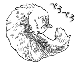 Morphing cat sticker #13866603