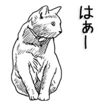 Morphing cat sticker #13866604