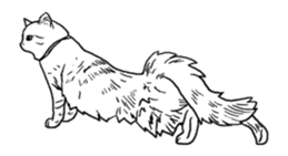 Morphing cat sticker #13866605