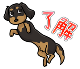 I Love Dachshund (Black Tan2) sticker #13867040