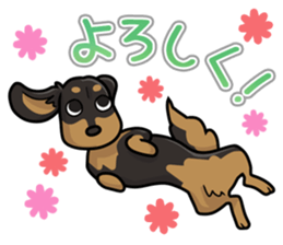 I Love Dachshund (Black Tan2) sticker #13867044