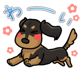 I Love Dachshund (Black Tan2) sticker #13867045