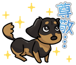 I Love Dachshund (Black Tan2) sticker #13867046