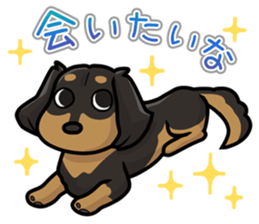 I Love Dachshund (Black Tan2) sticker #13867059