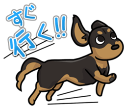 I Love Dachshund (Black Tan2) sticker #13867064