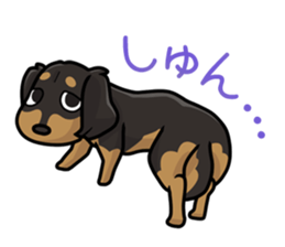 I Love Dachshund (Black Tan2) sticker #13867072