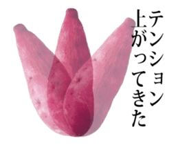 Potatoes move! sticker #13867834