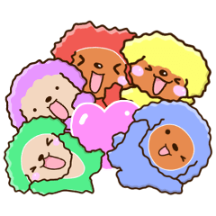 Colorful toy poodle.