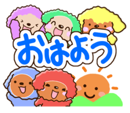 Colorful toy poodle. sticker #13869762