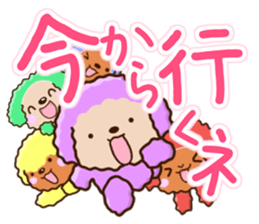 Colorful toy poodle. sticker #13869770