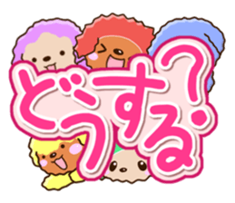 Colorful toy poodle. sticker #13869773