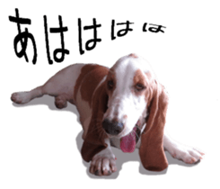 Basset hound 11(dog) sticker #13869920