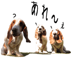 Basset hound 11(dog) sticker #13869921
