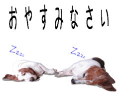 Basset hound 11(dog) sticker #13869926