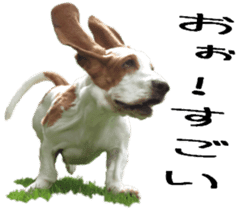 Basset hound 11(dog) sticker #13869927