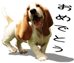 Basset hound 11(dog) sticker #13869928