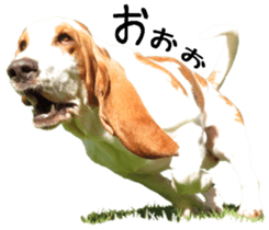 Basset hound 11(dog) sticker #13869931