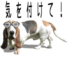 Basset hound 11(dog) sticker #13869935