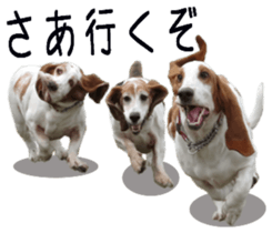 Basset hound 11(dog) sticker #13869937