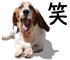 Basset hound 11(dog) sticker #13869938