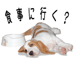 Basset hound 11(dog) sticker #13869939