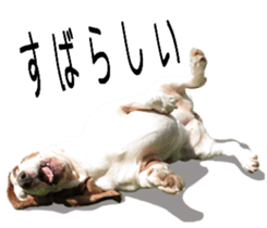 Basset hound 11(dog) sticker #13869940