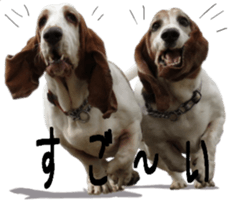 Basset hound 11(dog) sticker #13869941