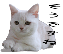 Basset hound 11(dog) sticker #13869942