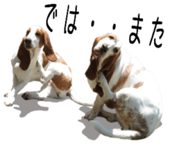 Basset hound 11(dog) sticker #13869945