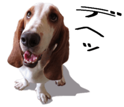 Basset hound 11(dog) sticker #13869946