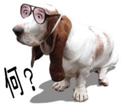 Basset hound 11(dog) sticker #13869948