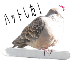 Basset hound 11(dog) sticker #13869949