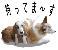 Basset hound 11(dog) sticker #13869950