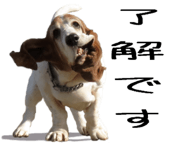 Basset hound 11(dog) sticker #13869951
