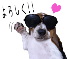 Basset hound 11(dog) sticker #13869953