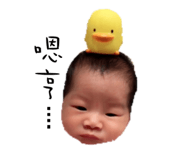 baby lily sticker #13870393