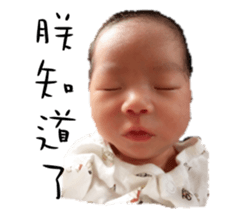 baby lily sticker #13870394