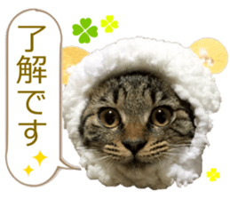 There are a lot of cats. sticker #13872618