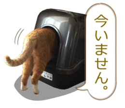 There are a lot of cats. sticker #13872625