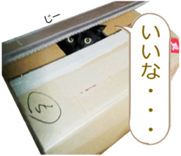 There are a lot of cats. sticker #13872628