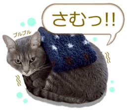 There are a lot of cats. sticker #13872649