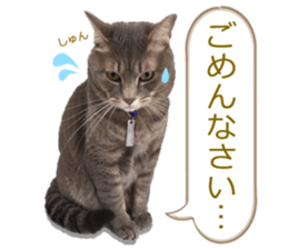 There are a lot of cats. sticker #13872651