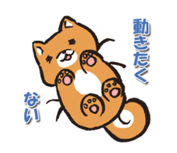 Japanese dog Shiba Inu ver.winter sticker #13872847