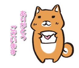 Japanese dog Shiba Inu ver.winter sticker #13872852
