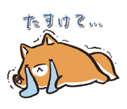 Japanese dog Shiba Inu ver.winter sticker #13872858