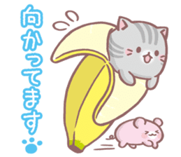 Download Bananya By Frontier Works Inc Sticker 13874373 HD Wallpaper Bananya By Frontier Works Inc Sticker 13874373 For iPhone